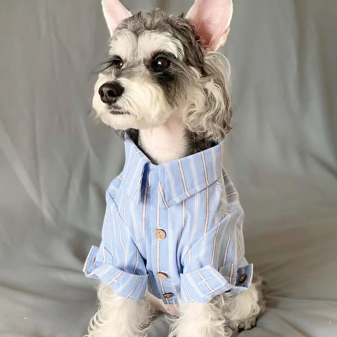 Pet Clothes Pet Puppy Cat Thin - Summer Dog Clothing avis et prix