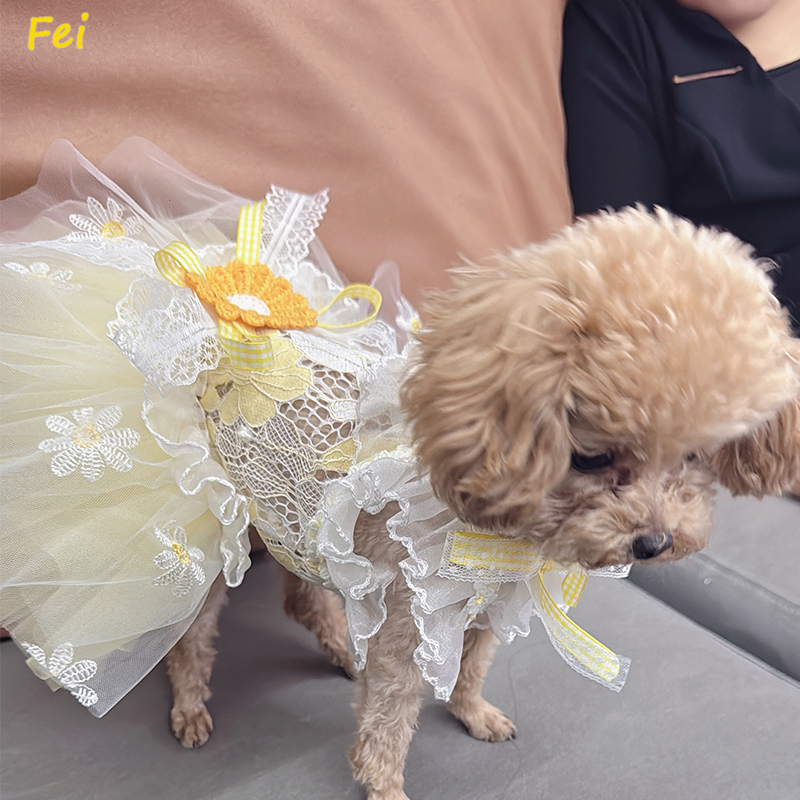 Summer Yellow Daisy Flower Pet - Soft Summer Yellow Clothing avis et prix