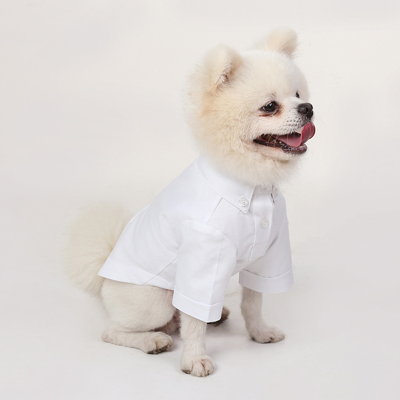 Spring and Autumn Pet Bottomin - Summer Dog Clothing avis et prix