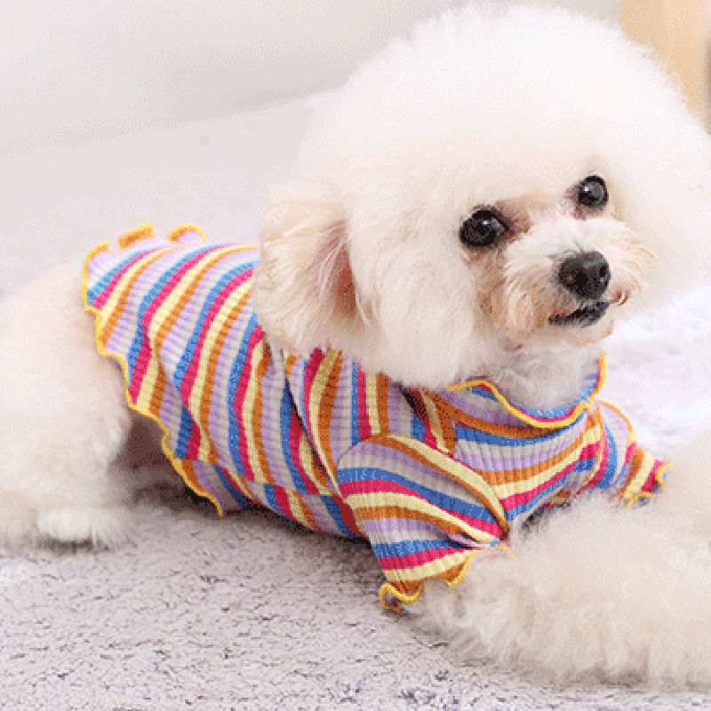 Pet Dog Clothes Puppy Vest T-s - Summer Dog Clothing avis et prix