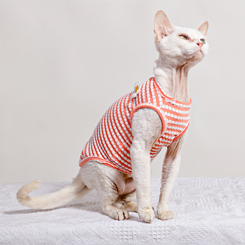 Summer T-Shirt for Sphynx Cat  - Soft Summer Yellow Clothing avis et prix