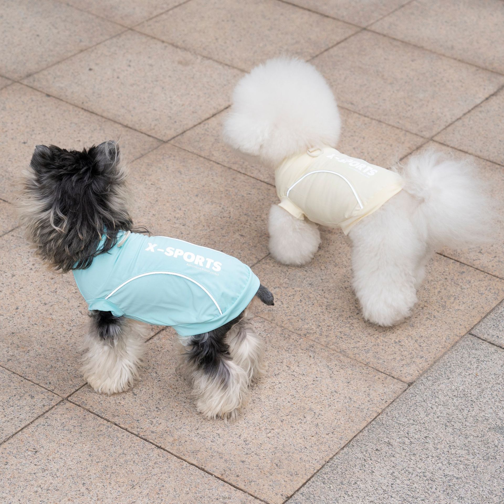 Pet Dog Clothing For Spring Su - Summer Clothing Cheap avis et prix