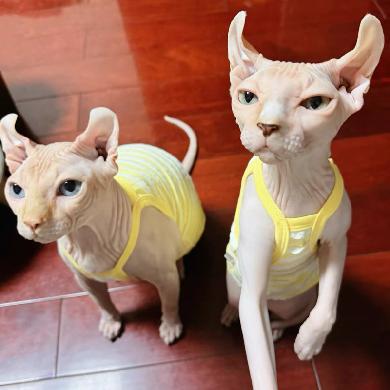 Spring Summer Cotton T-Shirt f - Soft Summer Yellow Clothing avis et prix
