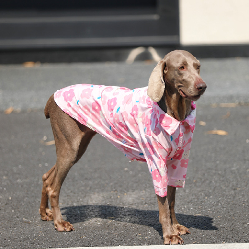 Large Dog Shirt Summer Big Dog - Summer Dog Clothing avis et prix