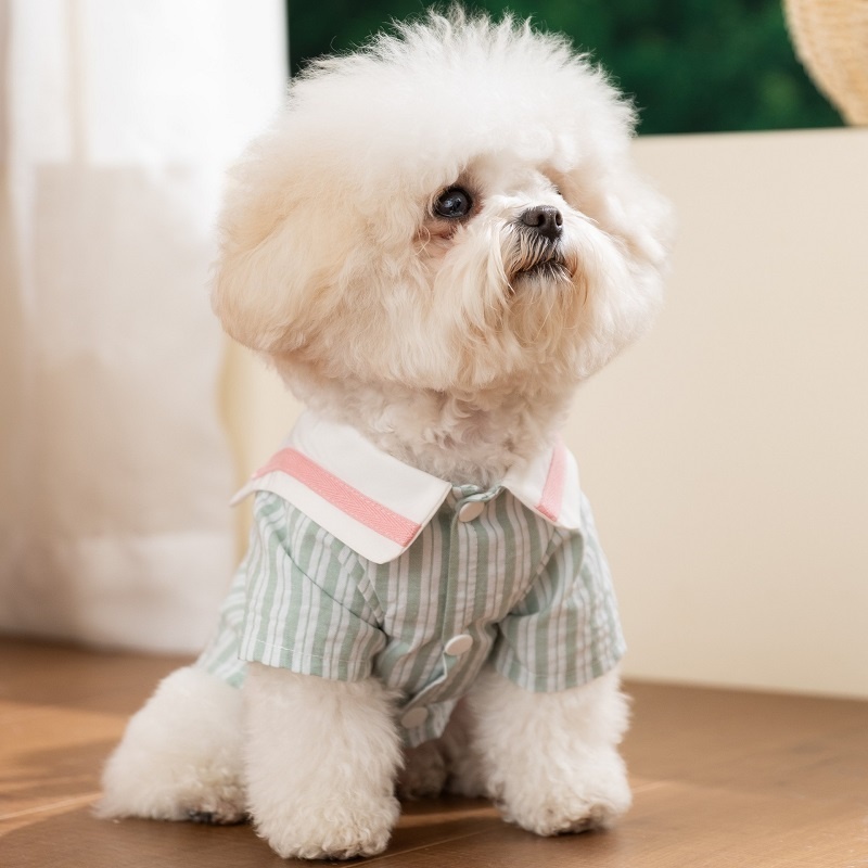 Summer Soft Dog Clothes Cute B - Summer Dog Clothing avis et prix