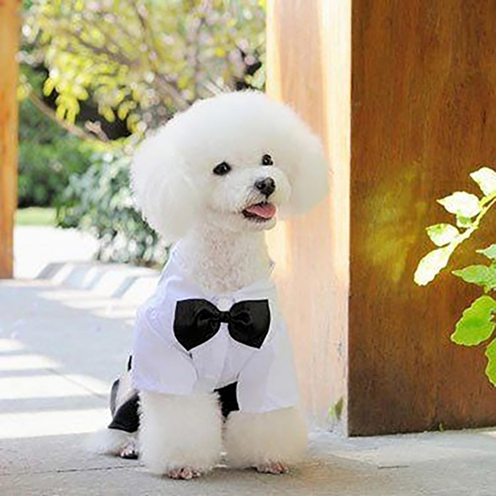 Dog Bow Tie Suit Tuxedo Costum - Summer Dog Clothing avis et prix