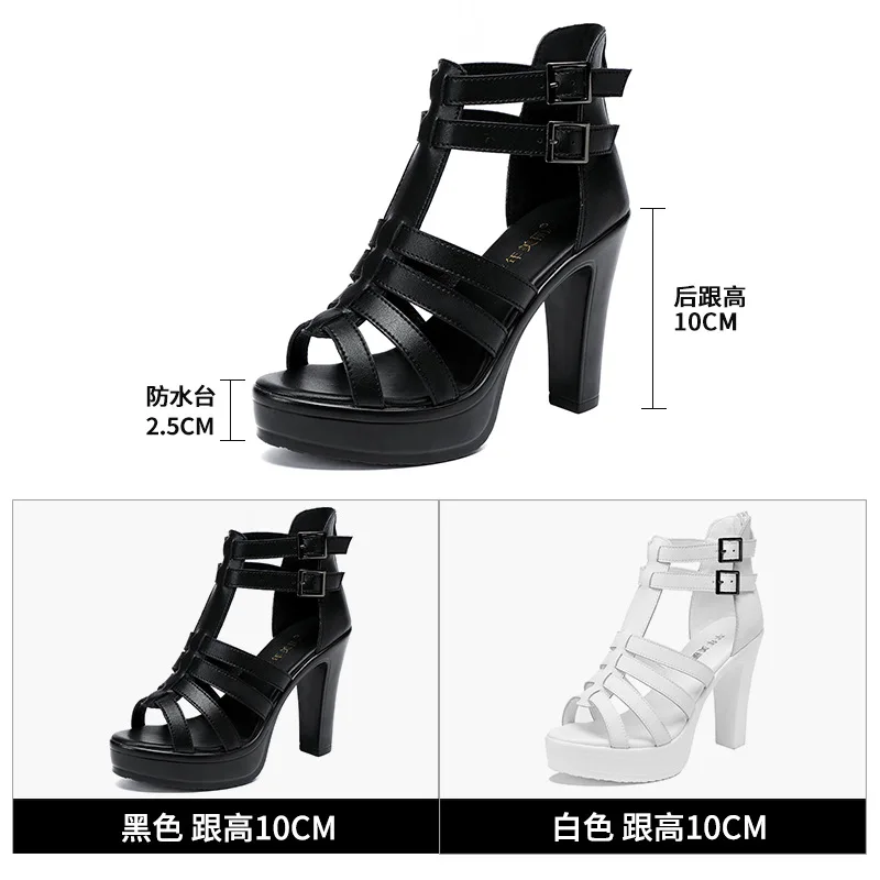Gladiator Ladies Shoe for Wome - Summer Clothing Ladies avis et prix