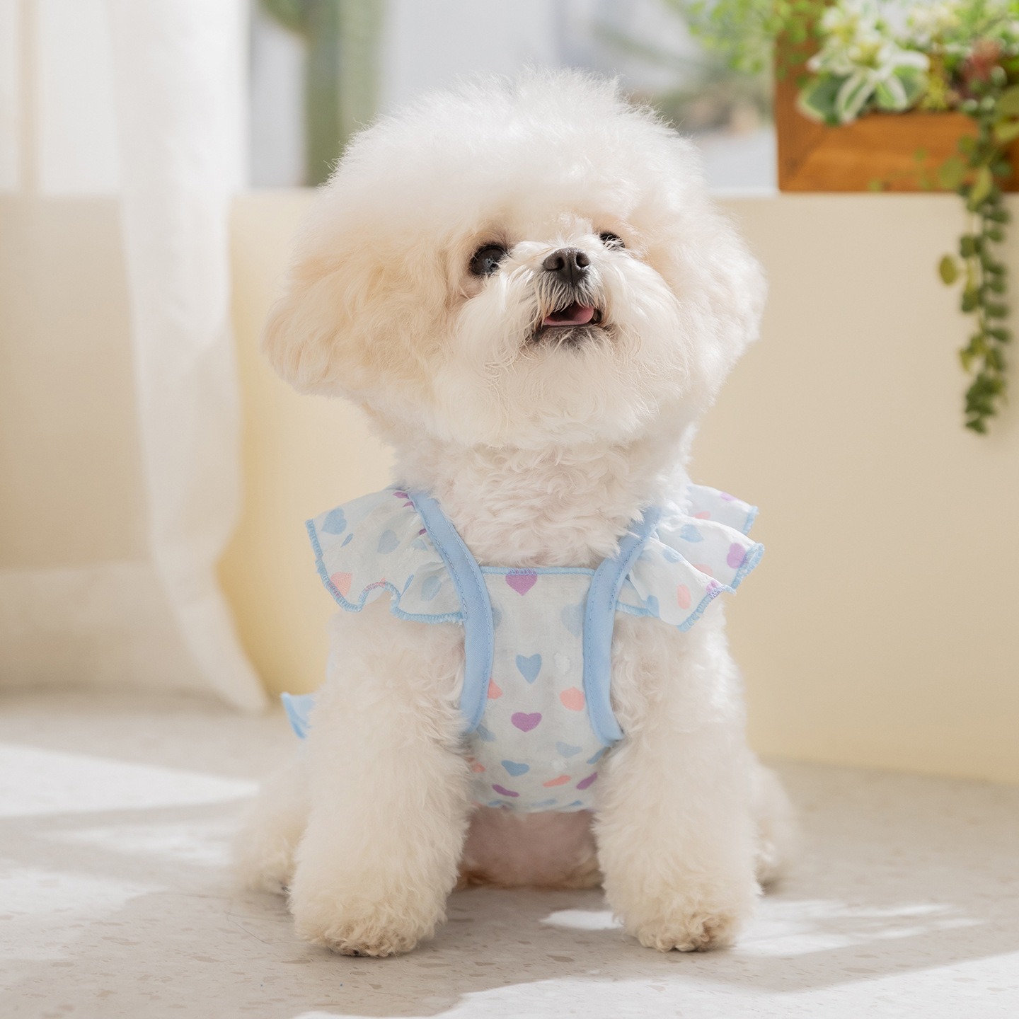 Yellow Love Dog Clothes Summer - Soft Summer Yellow Clothing avis et prix