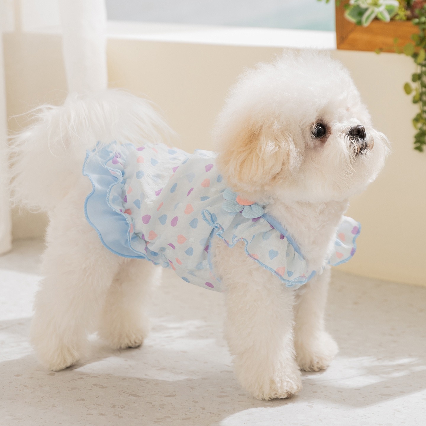 Yellow Love Dog Clothes Summer - Soft Summer Yellow Clothing avis et prix